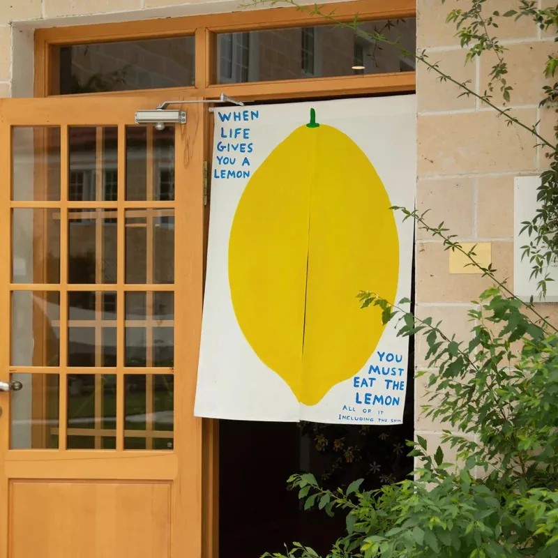 Commercial Kitchen Canopy - VIKAMA Minimalist Lemon Art Print No