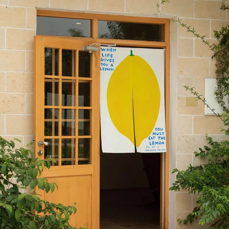 VIKAMA Minimalist Lemon Art Pr – обзор и цена Commercial Kitchen Canopy