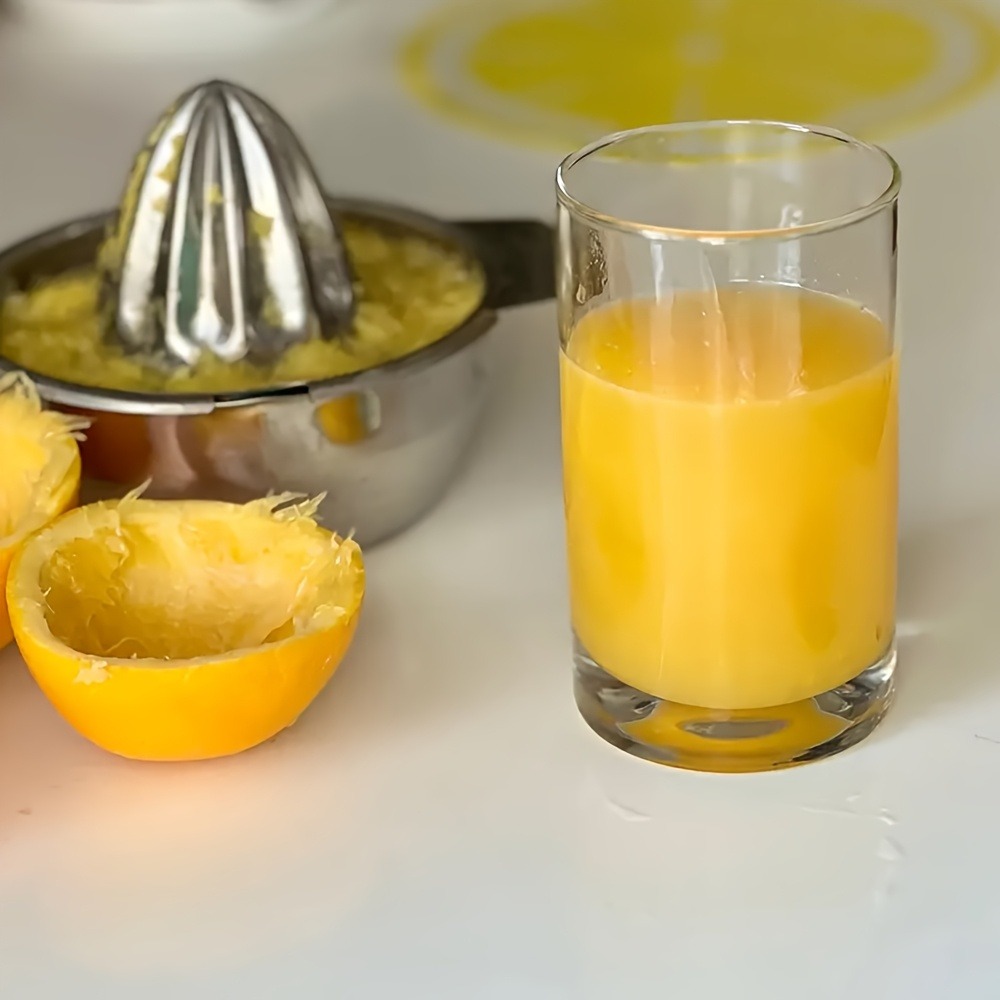 Stainless Steel Manual Citrus  – обзор и цена Commercial Kitchen Dishwasher